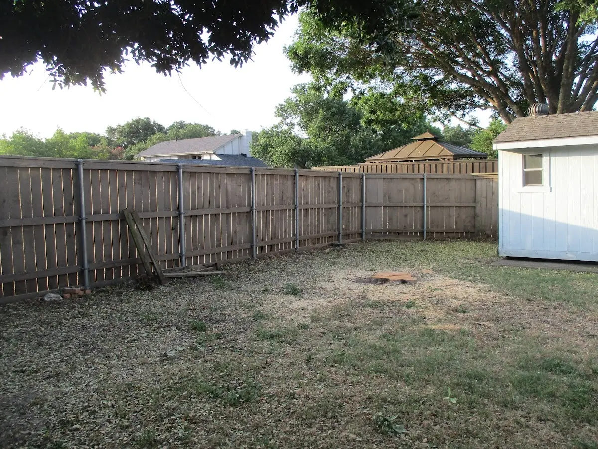 Cleared yard after professional tree removal in Hardy